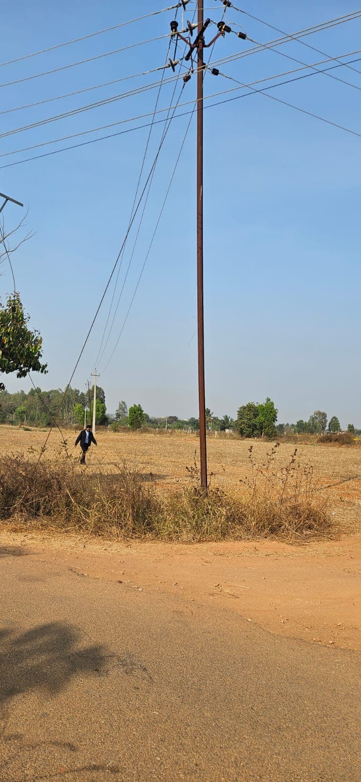 Bhoomi Green's -2