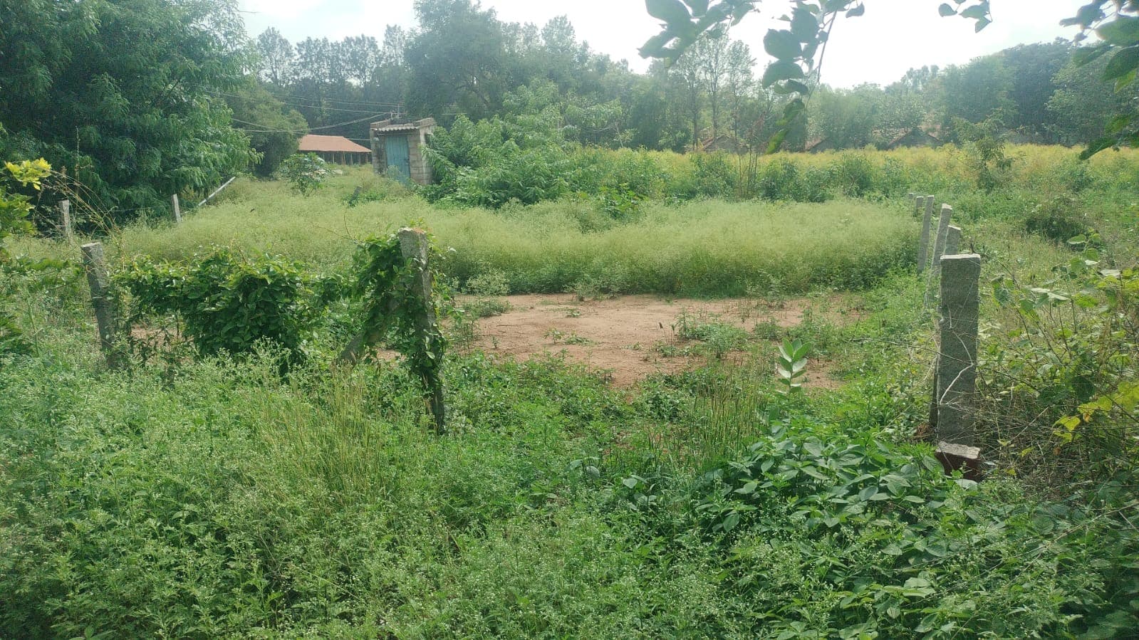 Plot for sale