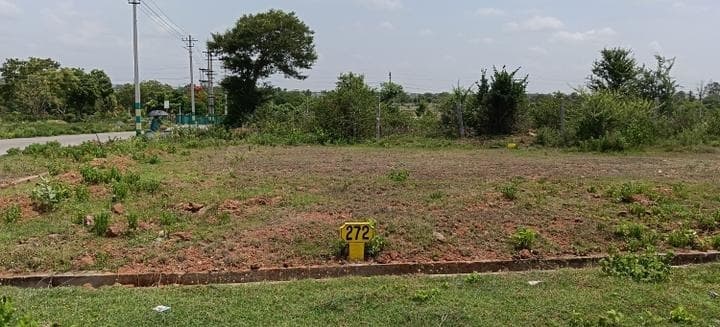 Residential Plot at Rajarshi Nalwadi Nagara