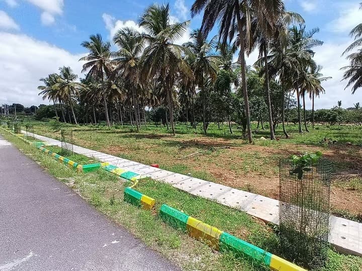Vinyas Green Valley