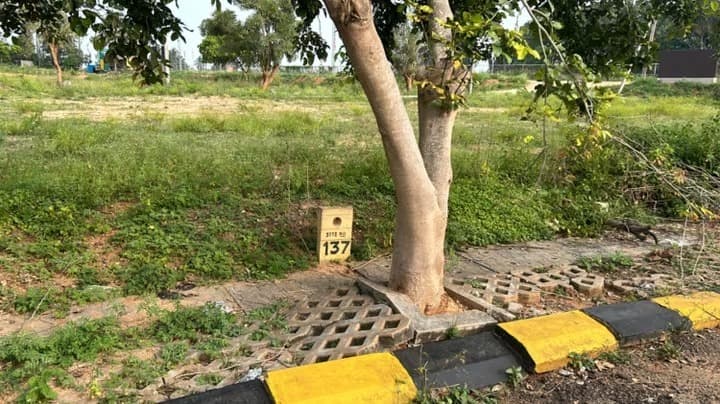 Residential Plot at Srirangapatna