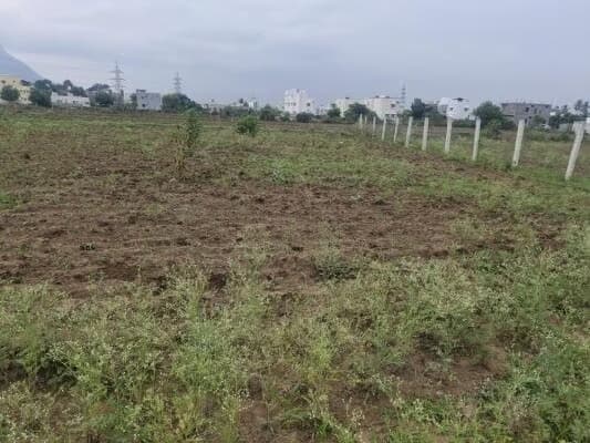 Bhoomi Plots In Parli