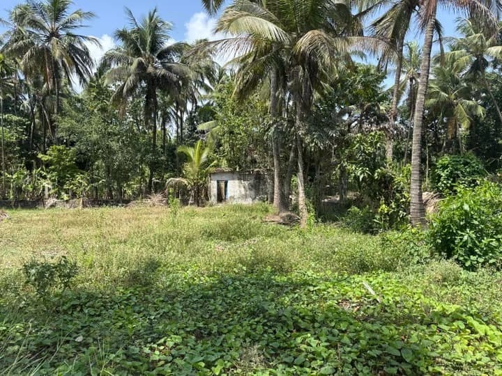 Residential Plot at Merces