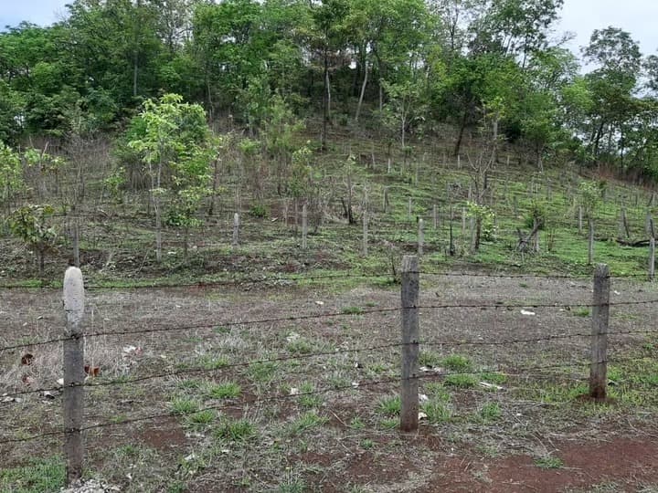 Residential Plot at Ambivali