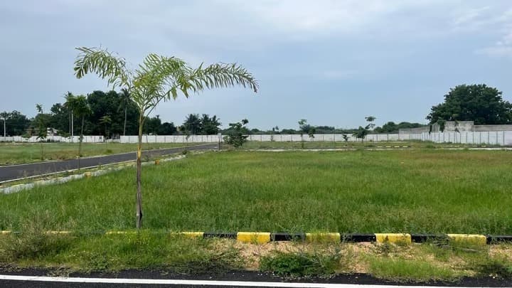 Ravilla Marutham Avenue