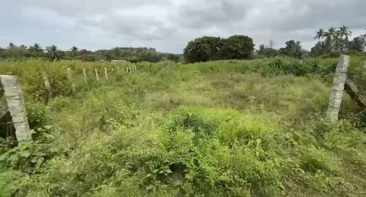 Agricultural Land in Tharalu