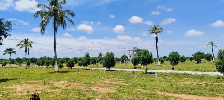 Agricultural Land in Chikkasagarahalli