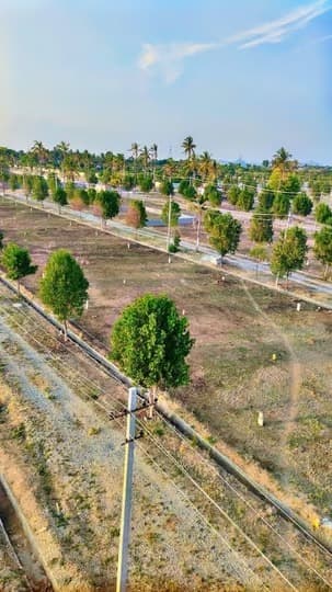 Agricultural Land in Nandi