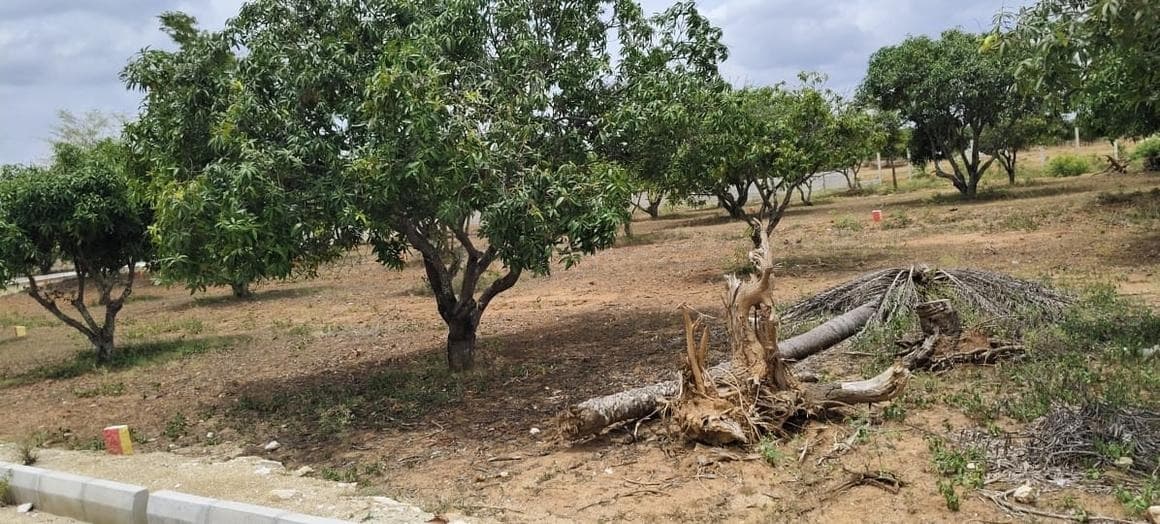 Agricultural Land by SSR GREEN FARMS