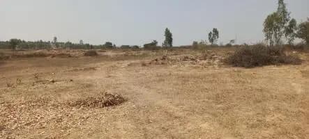Farm Land for Sale in Nandagudi