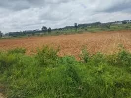 Farm Land for Sale in Kanakapura