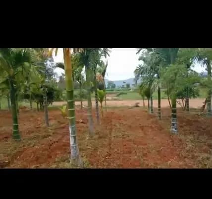 Farm Land for Sale in Kanakapura Road