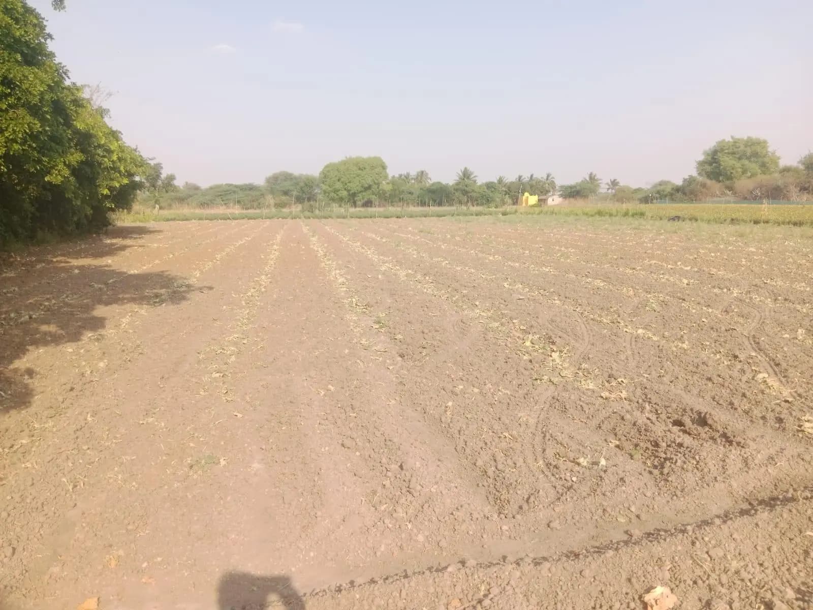 Farm Land for Sale in mittemari Hobli