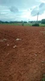 Farm Land for Sale in Doddaballapur