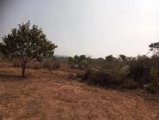 Farm Land for Sale in Sidlaghatta