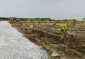 Farm Land for Sale in custom farms