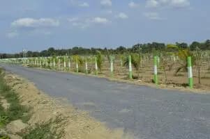 Farm Land for Sale in Maduranthakam