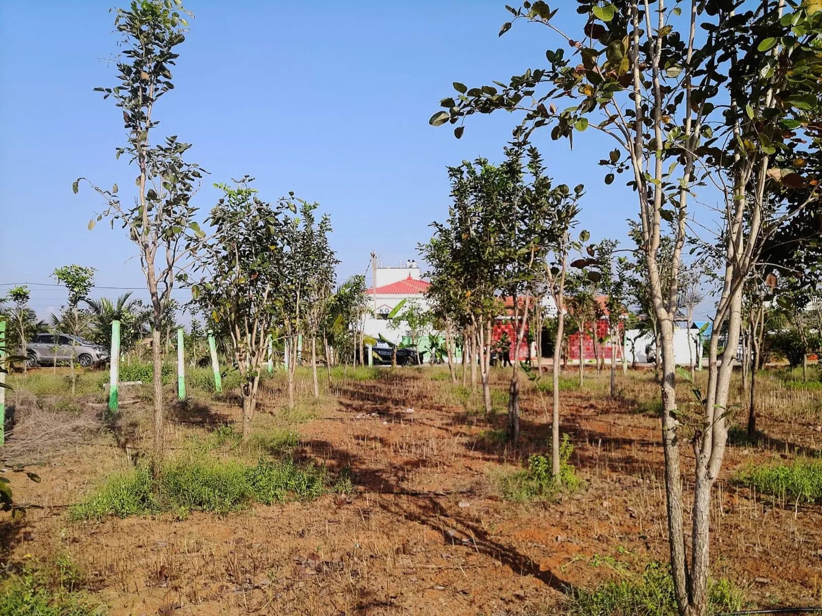 Farm Land for Sale in Maduranthakam