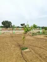 Farm Land for Sale in Elite farms