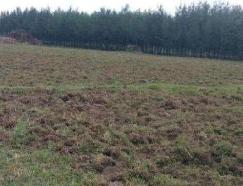 Farm Land for Sale in Mahabalipuram